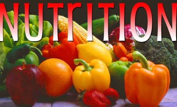 course in nutrition